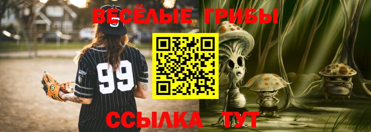 Галлюциногенные грибы мицелий  Галлюциногенные грибы GOLDEN TEACHER  Кумертау  Вход с VPN 